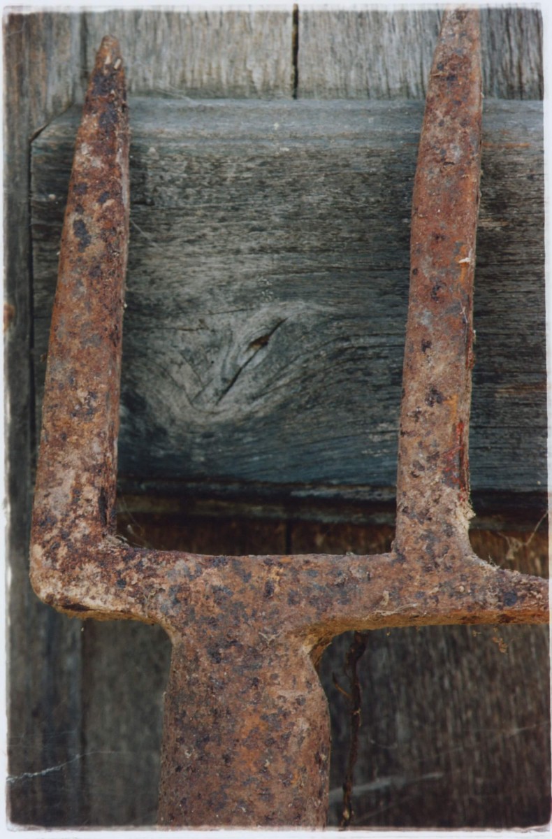 regain_maison-autonome_automne-2023_07