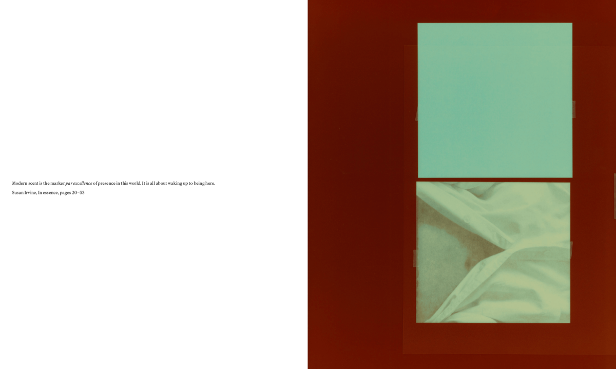 capture-decran-2024-12-05-a-19.13.03