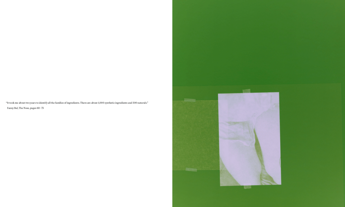 capture-decran-2024-12-05-a-19.12.28