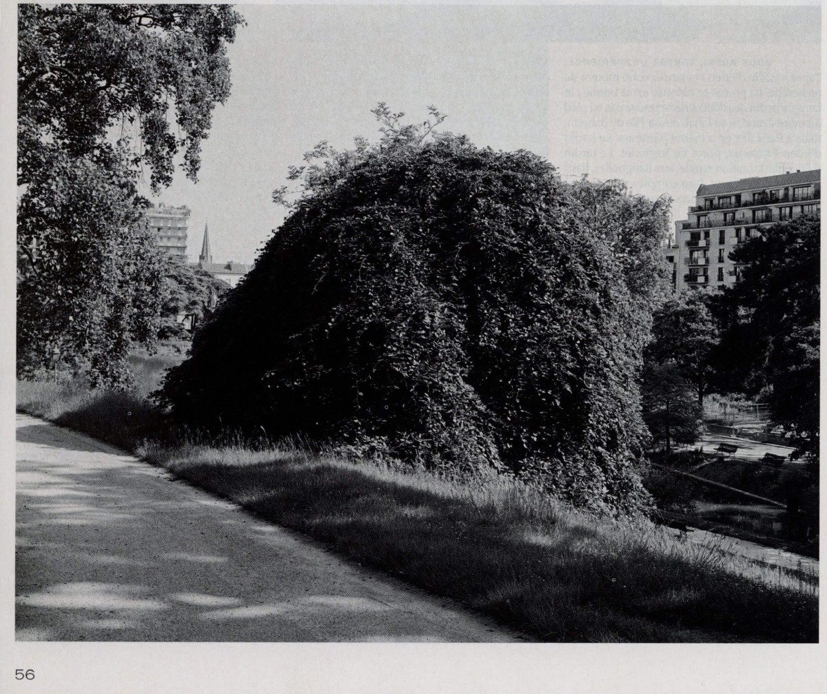 m_jardins-suspendus_mai-2020_06