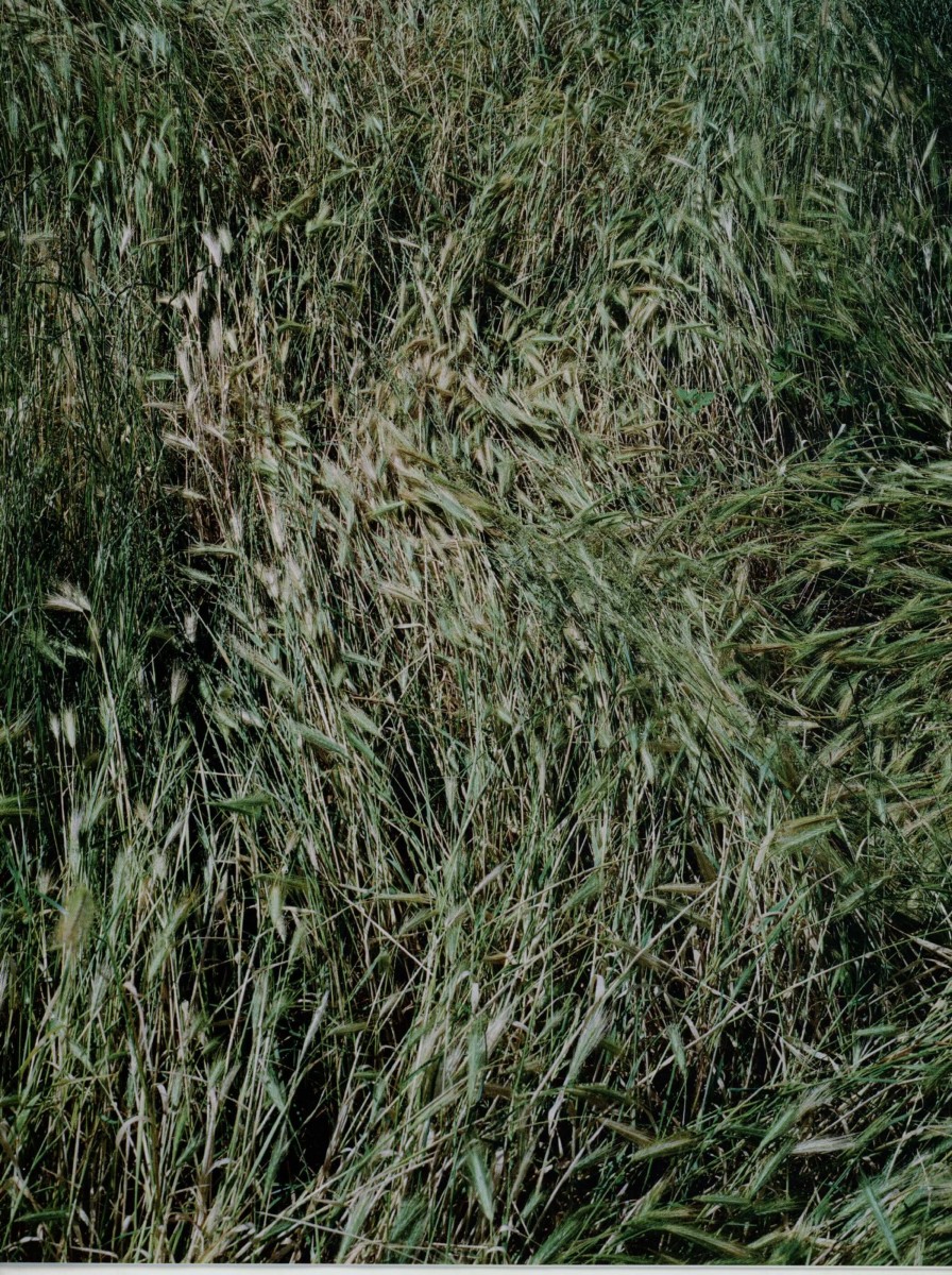 m_jardins-suspendus_mai-2020_04