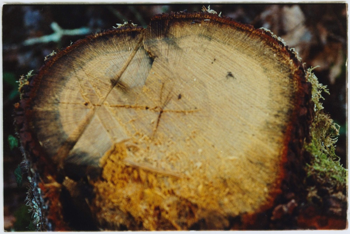 regain_a69-projet-heretique_hiver-2023_05