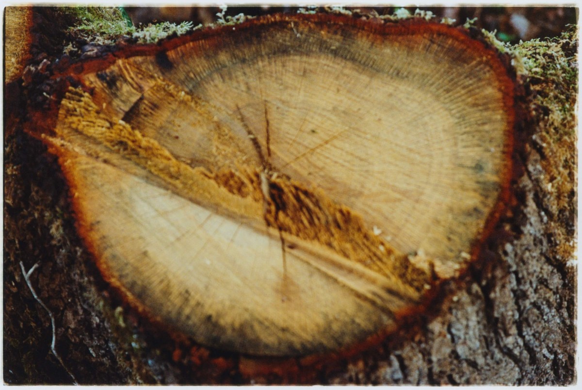 regain_a69-projet-heretique_hiver-2023_07