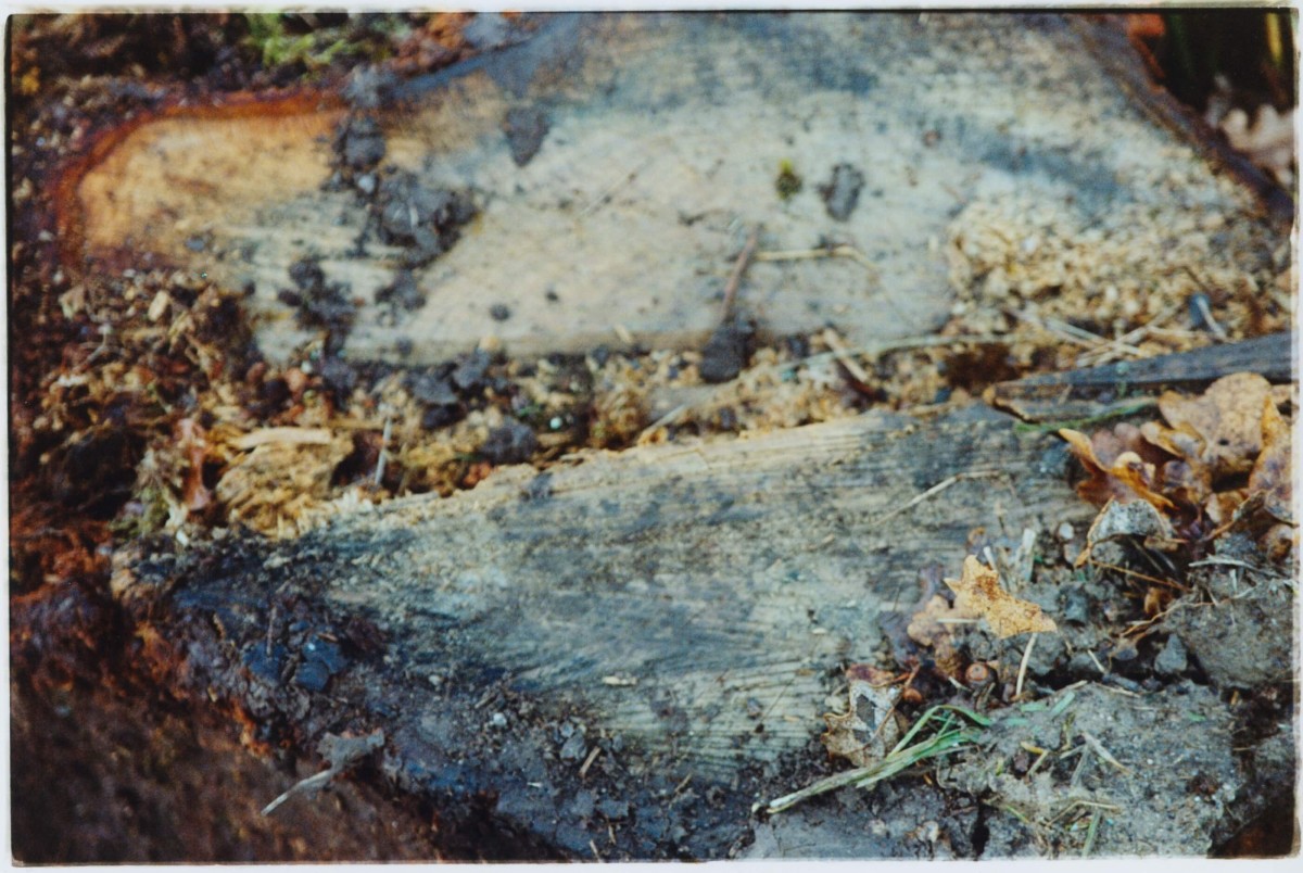 regain_a69-projet-heretique_hiver-2023_02