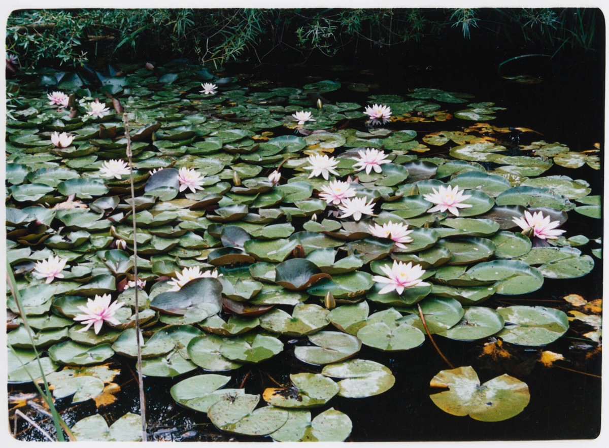 couleur-bec-hellouin_-10