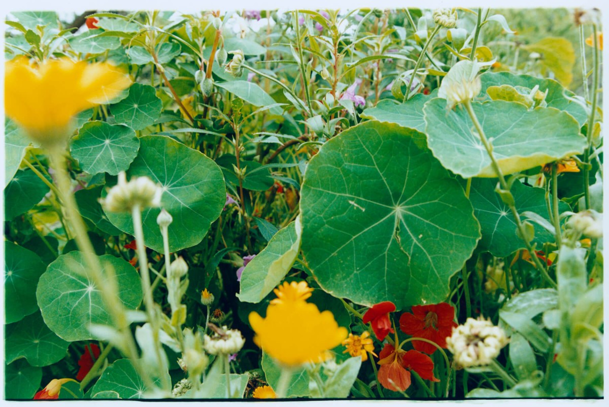 couleur-bec-hellouin_-4