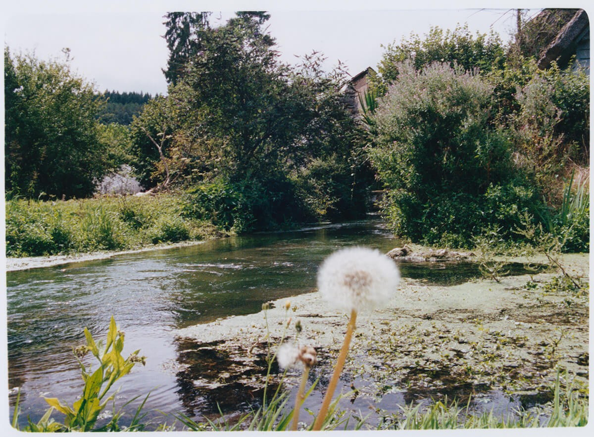 couleur-bec-hellouin_-7