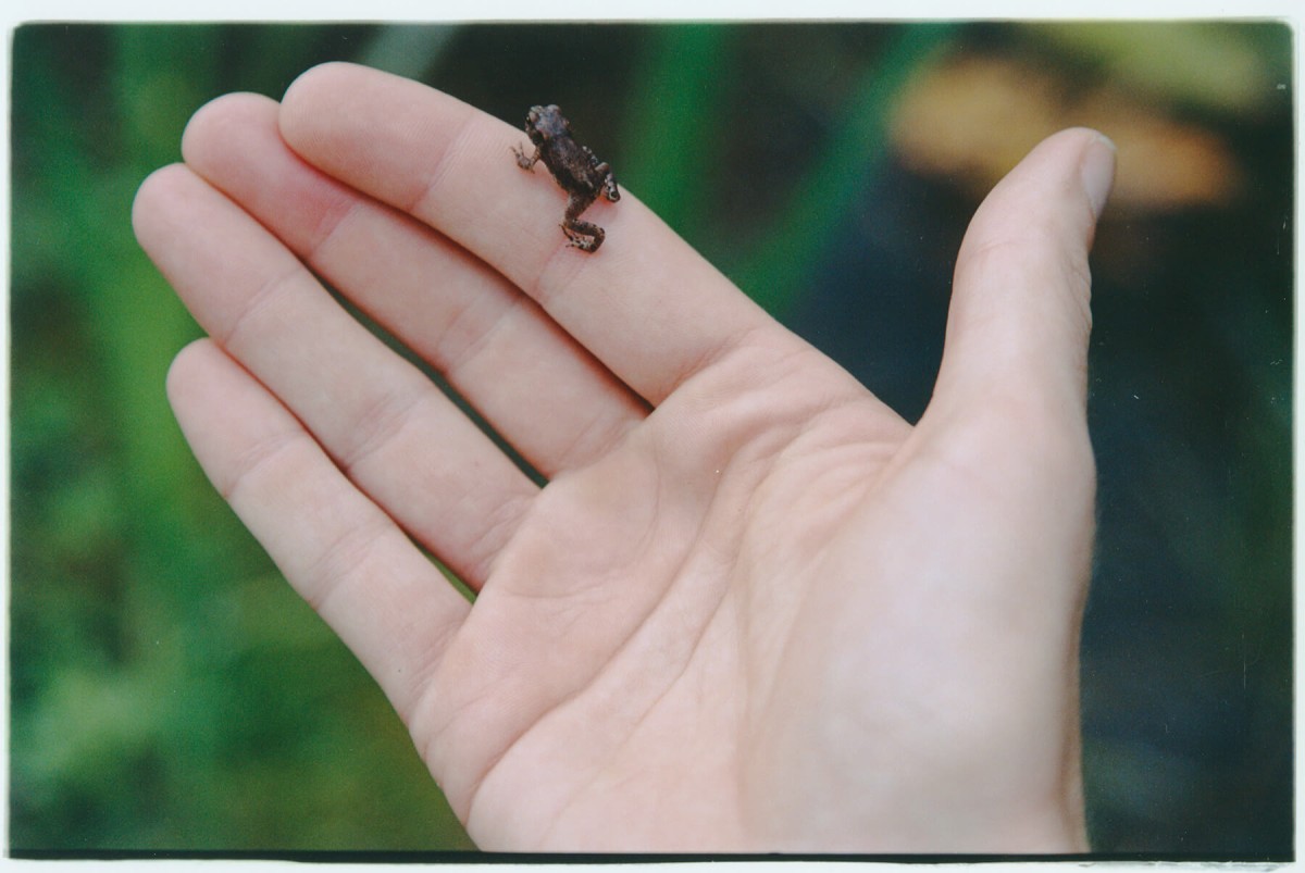 couleur-bec-hellouin_-2