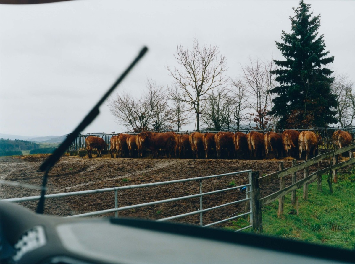 regain_un-abattoir-mobile-pour-une-meilleure-fin_printemps-2022_01