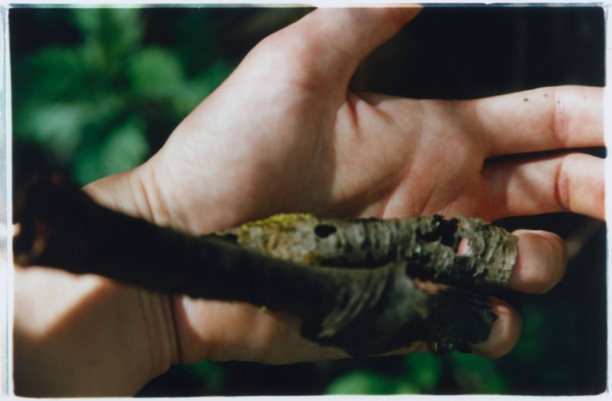 regain_comme-des-fruits-seches-prives-de-leur-rondeur-humide_ete-2023_06