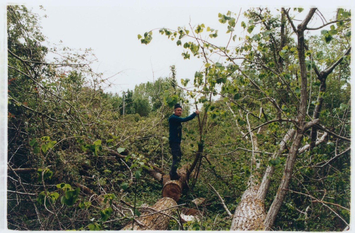 regain_comme-des-fruits-seches-prives-de-leur-rondeur-humide_ete-2023_10