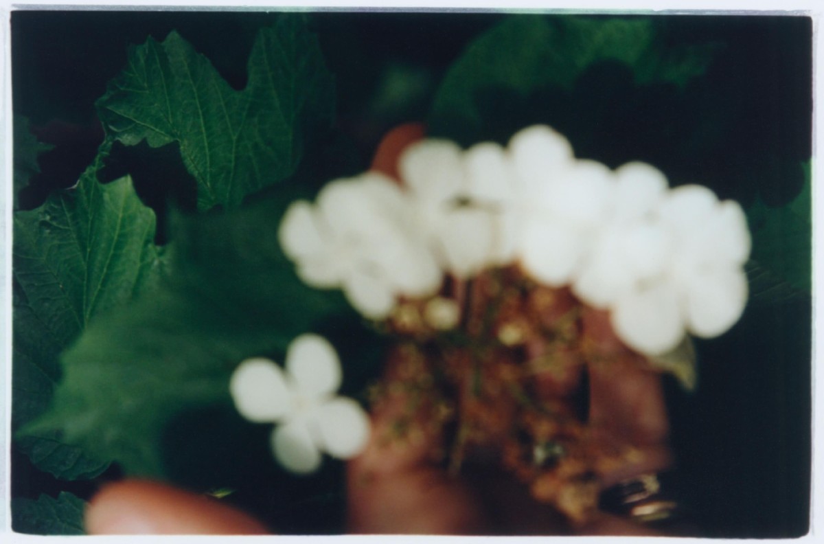 regain_comme-des-fruits-seches-prives-de-leur-rondeur-humide_ete-2023_14