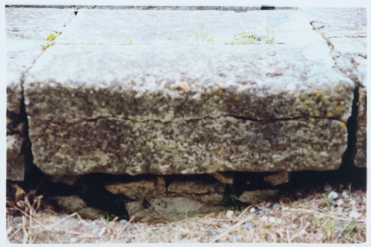 regain_comme-des-fruits-seches-prives-de-leur-rondeur-humide_ete-2023_12