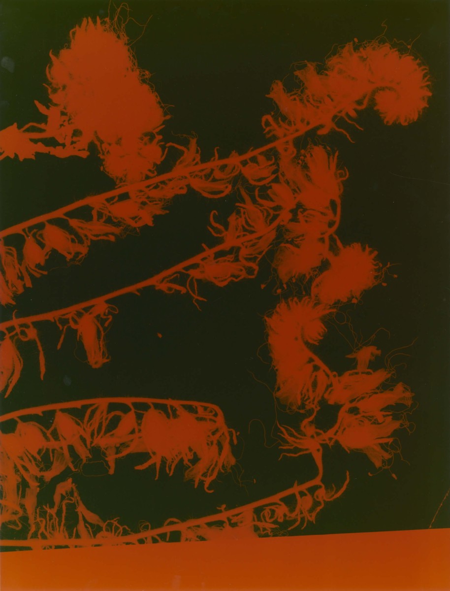 bureau-futur_voeux-2023_07