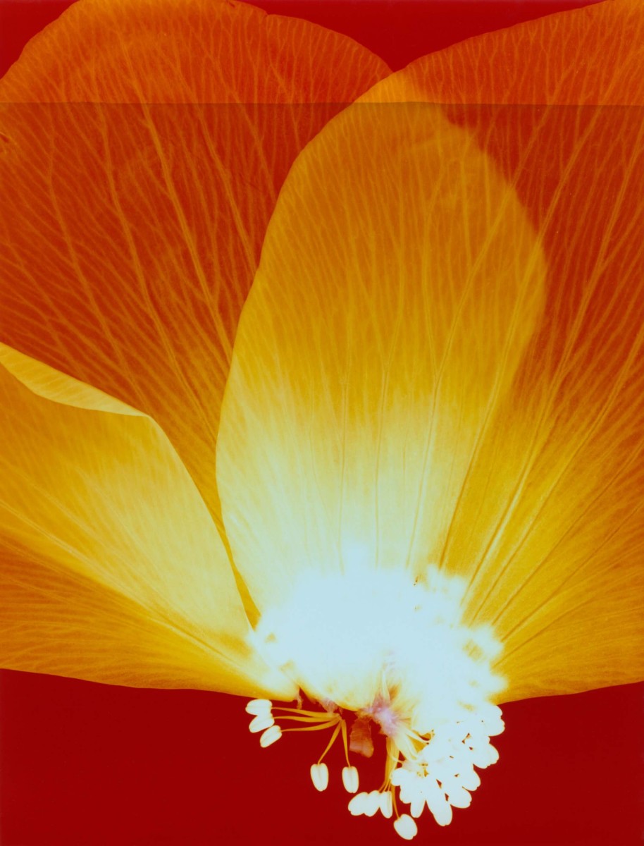 bureau-futur_voeux-2023_06