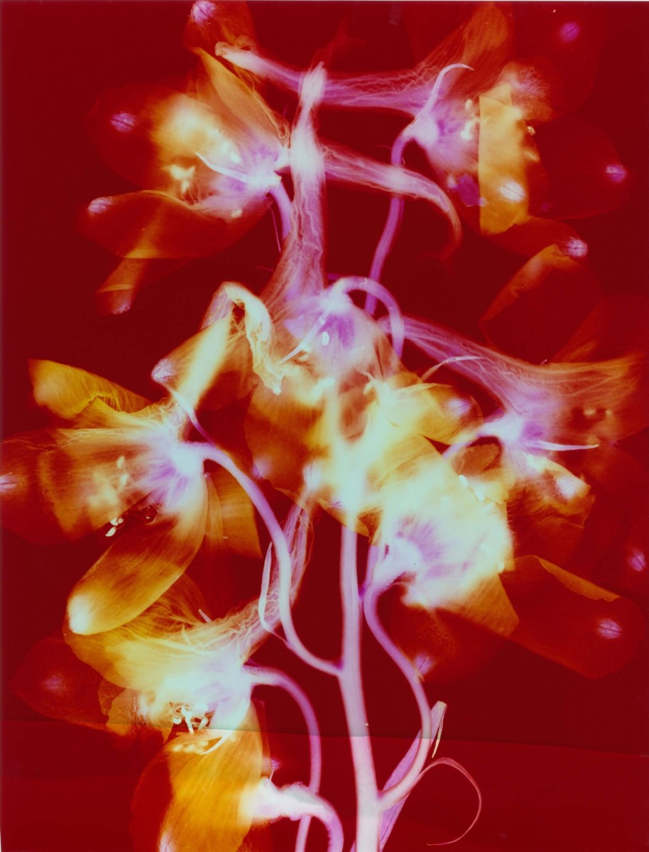 bureau-futur_voeux-2023_04