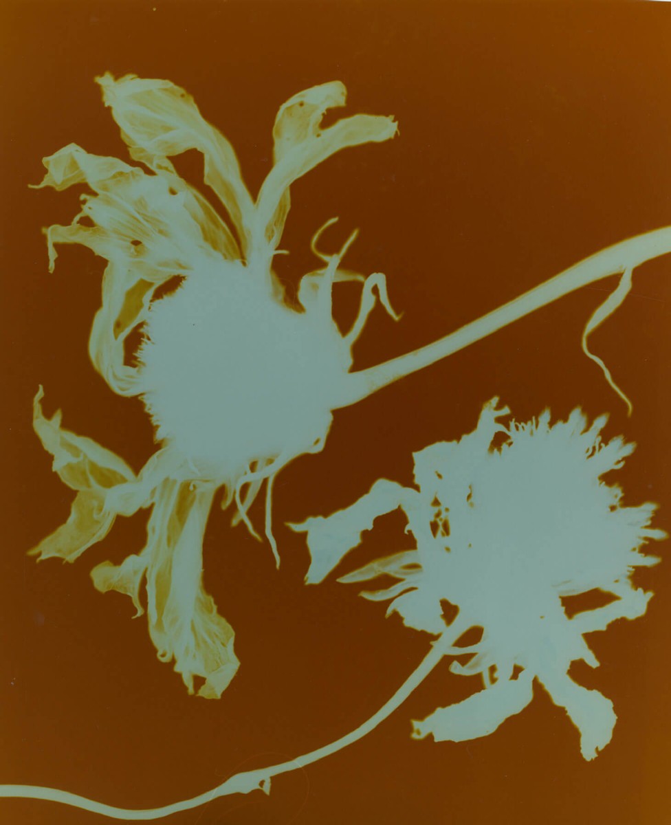 bureau-futur_voeux-2023_01