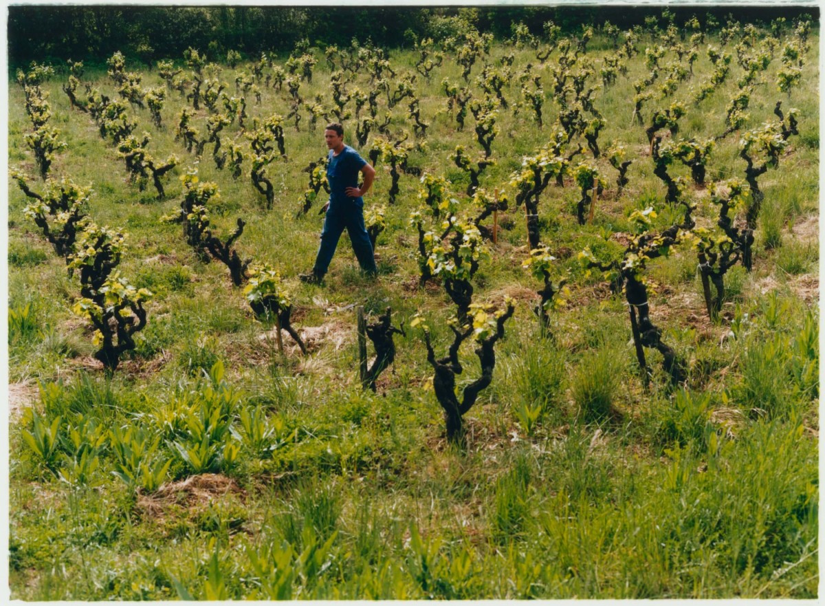 regain_l-absurde-genie-du-causse-fleuri_ete-2022_04