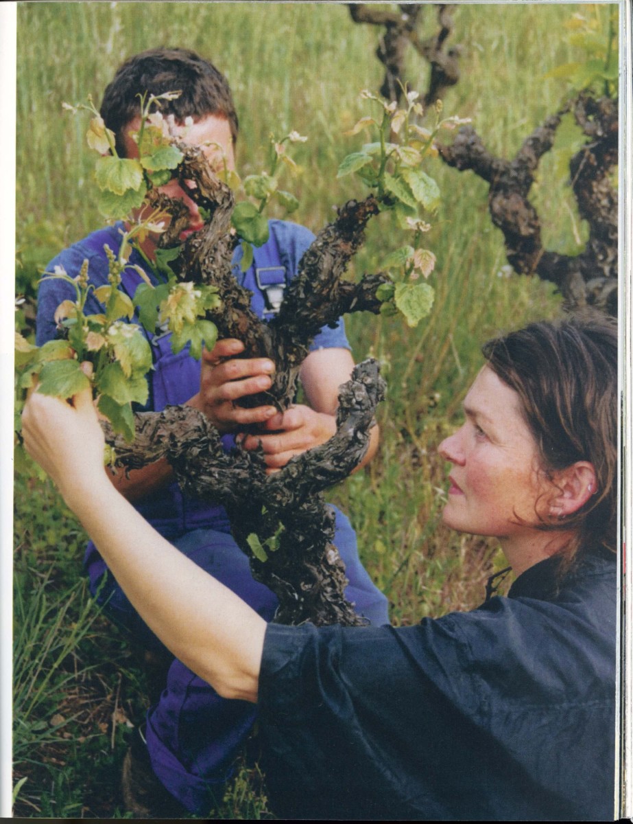 regain_l-absurde-genie-du-causse-fleuri_ete-2022_03