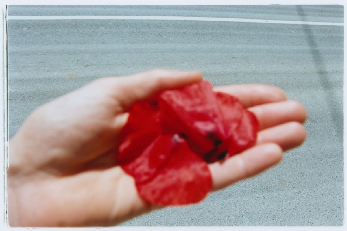 regain_jean-rolin-entre-la-ville-et-la-campagne_ete-2023_01