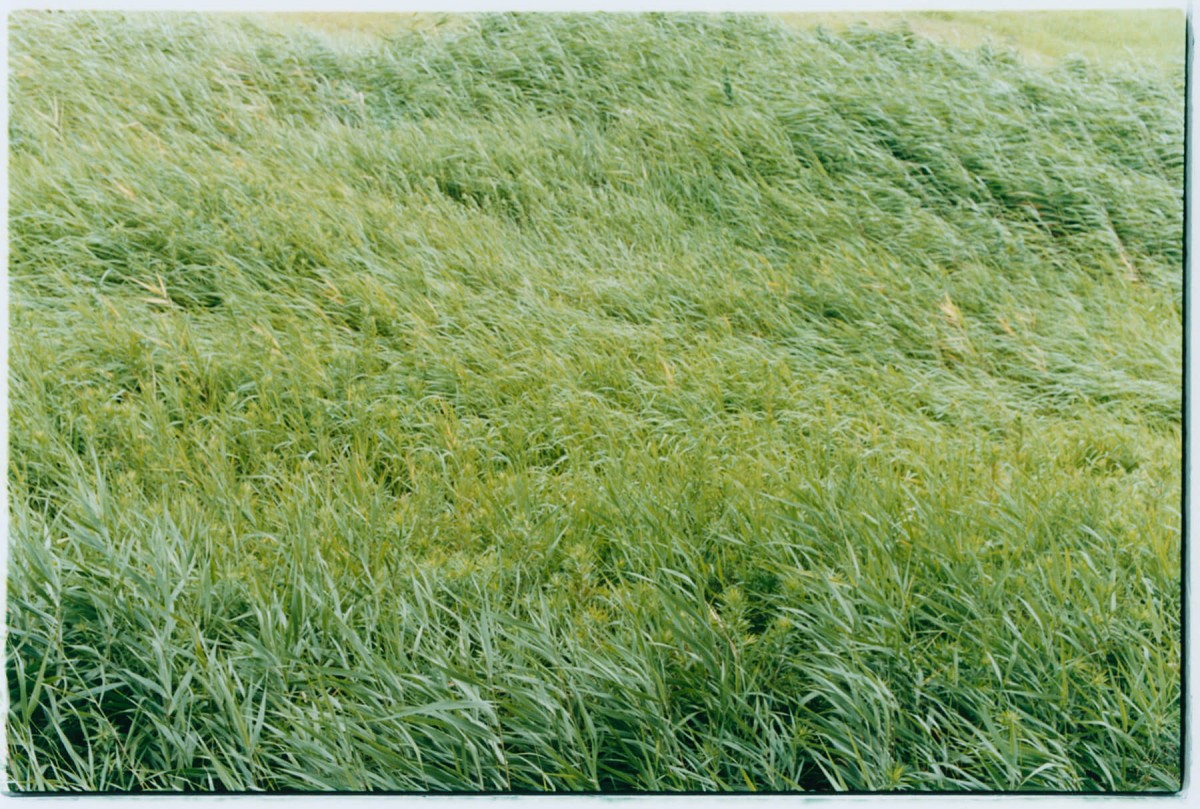 couleur-tnf_rebekka-deubner-32