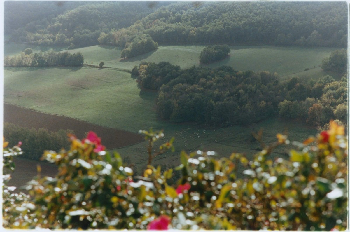 regain_alain-guiraudie-libre-sousqueur_hiver-2022_04