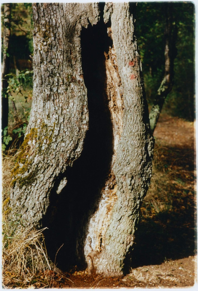 regain_alain-guiraudie-libre-sousqueur_hiver-2022_06