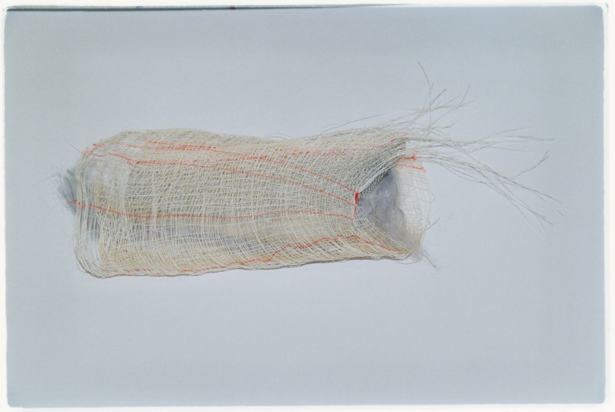 marie-hazard-2024-12