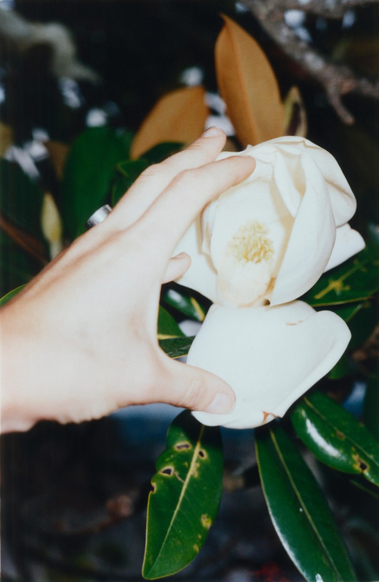 le-magnolia-2021