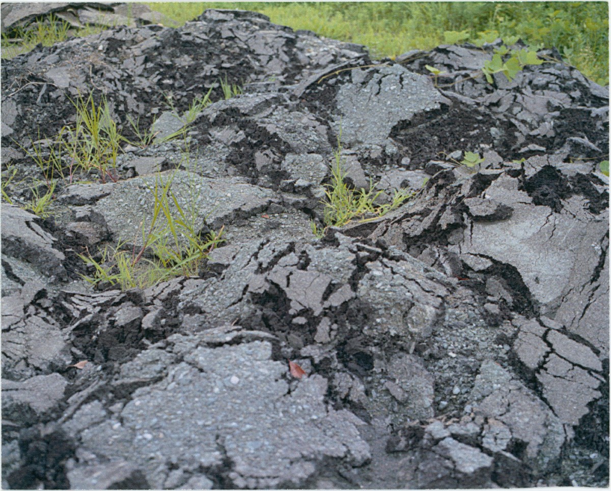 fukushima-prefecture-2014_02
