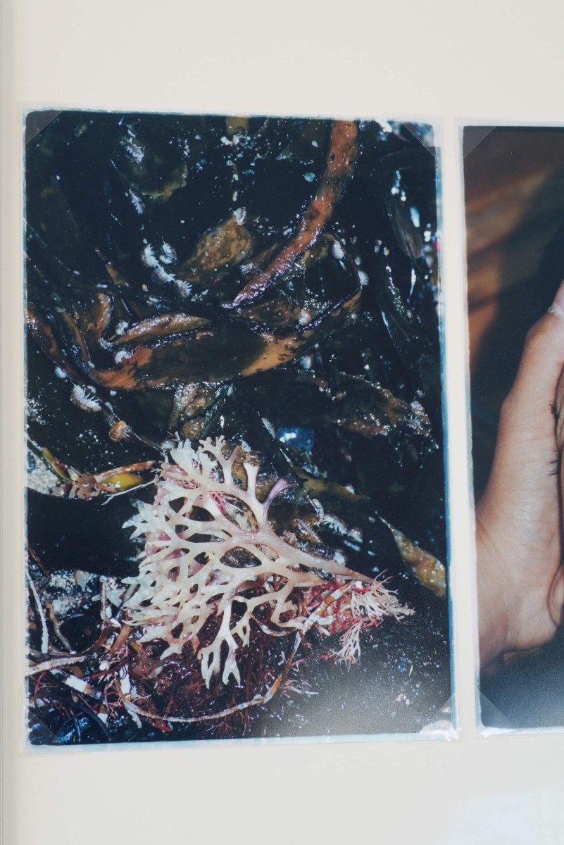 tempete-apres-tempete_rebekka-deubner_2025_16