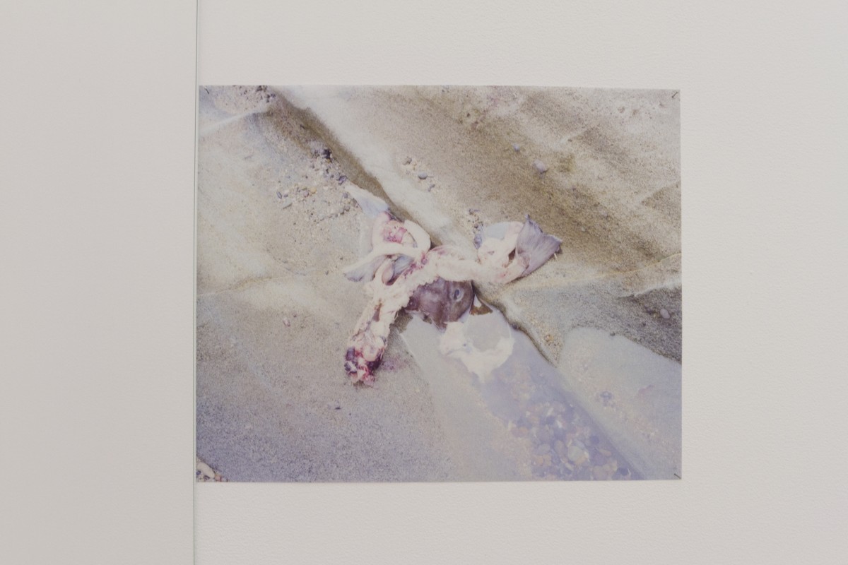 desfilleslameretunegrotte_03c