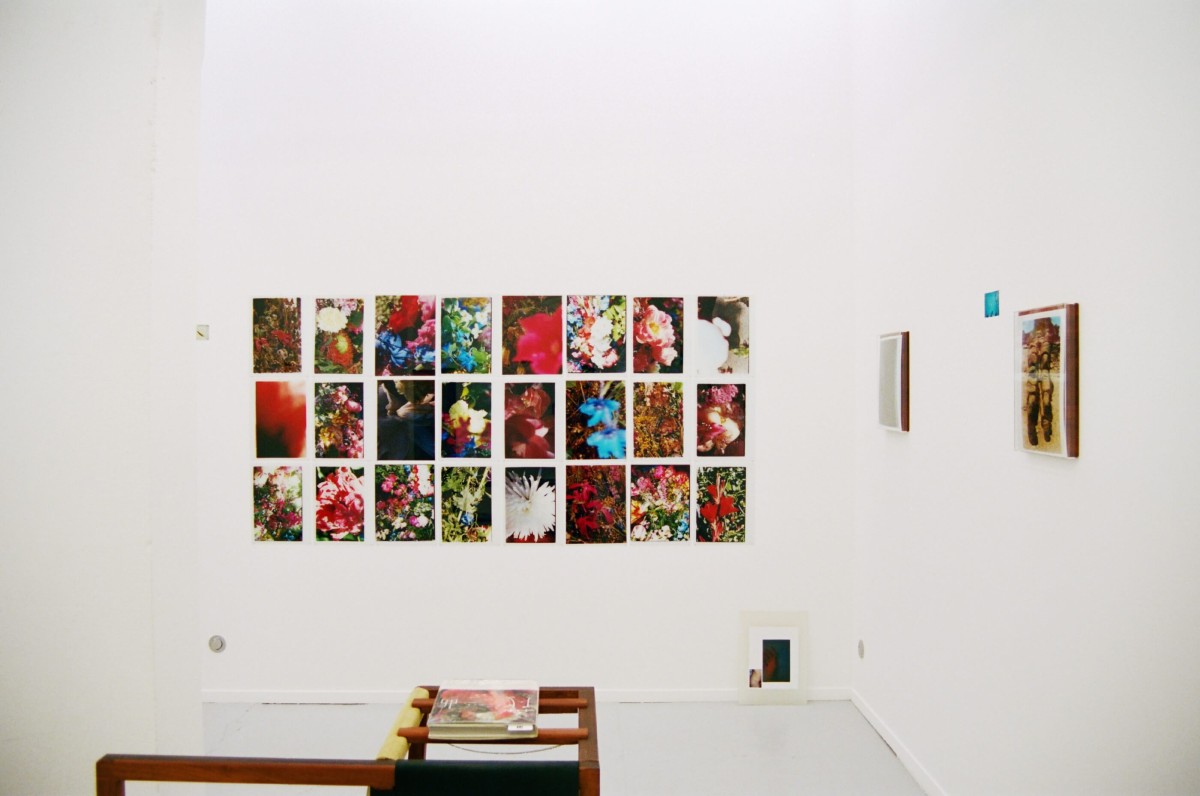 les-morves-d-azur_progress-galerie_202108