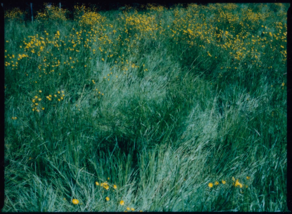 laterreamoureuse_hd_417_b