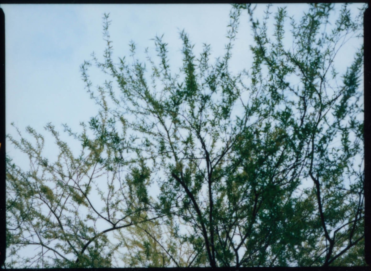 laterreamoureuse_hd_341_b