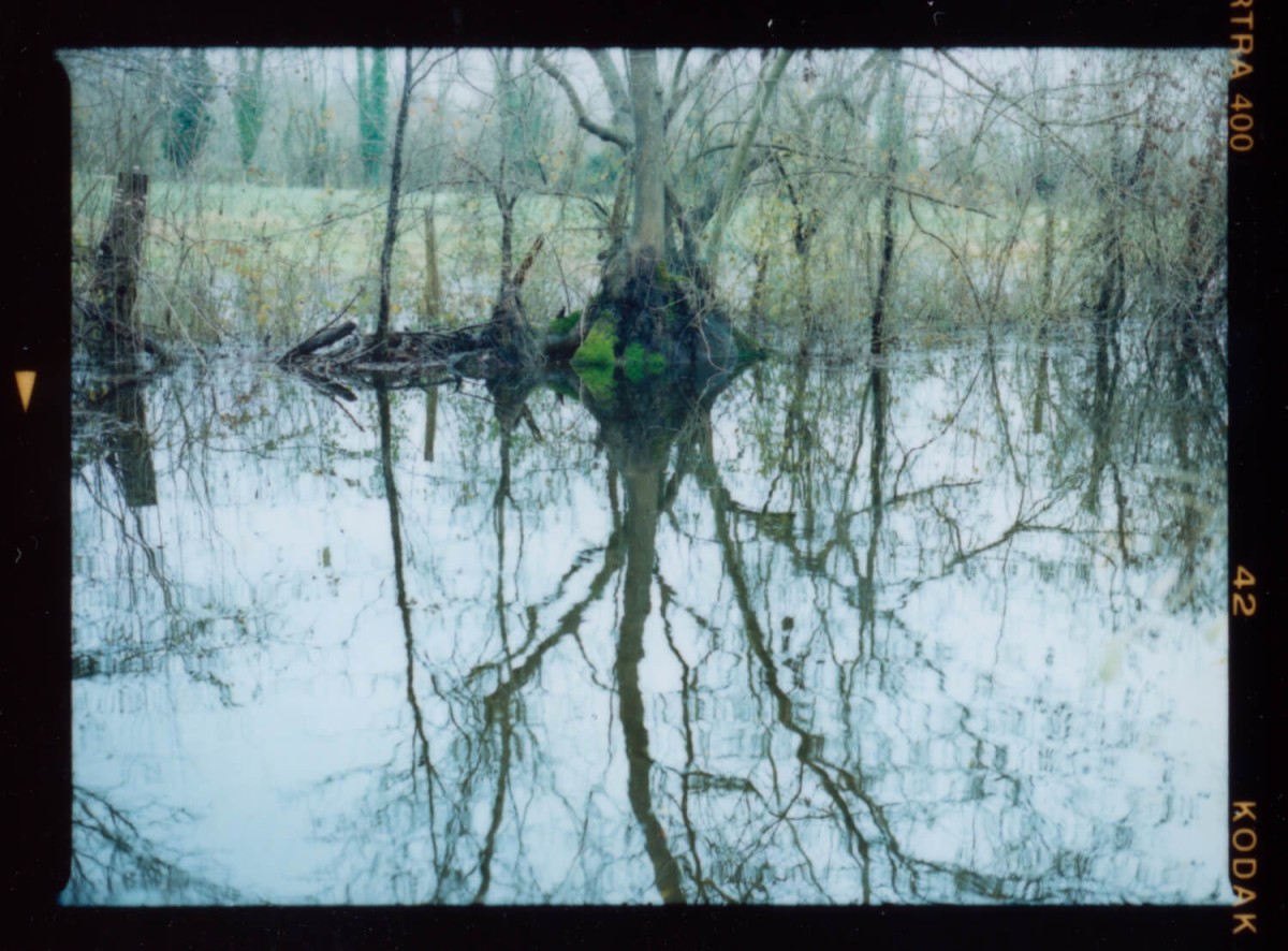 laterreamoureuse_hd_485