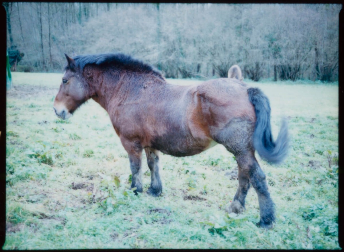 laterreamoureuse_hd_674_b