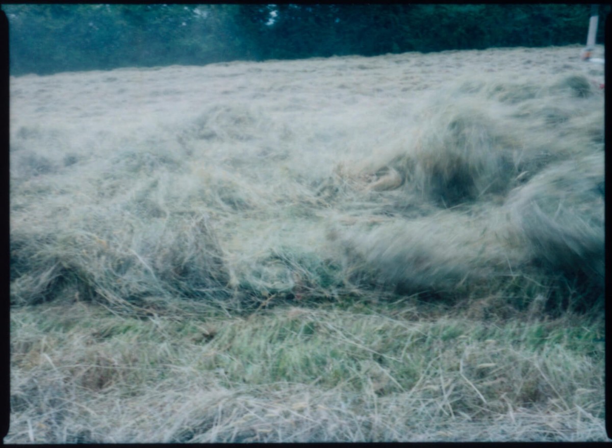 laterreamoureuse_hd_16_retouche_b