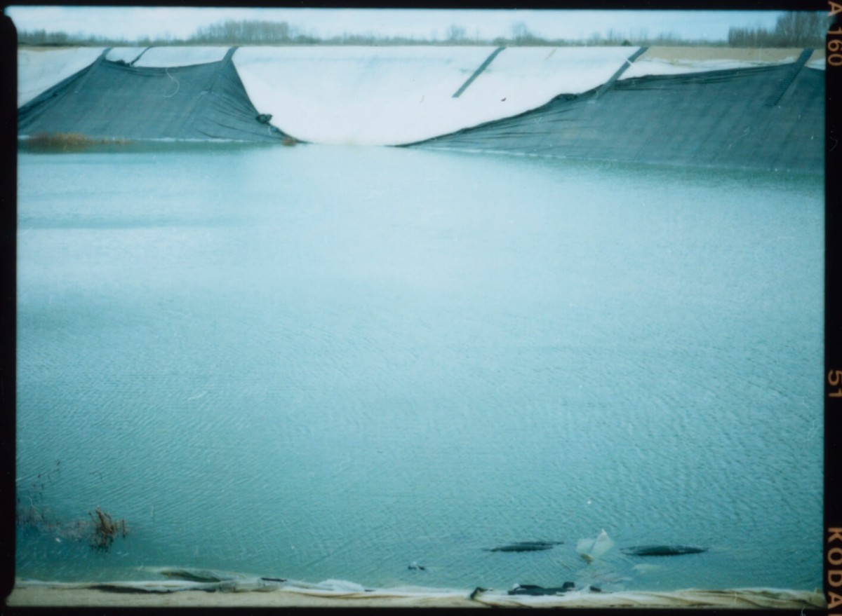 laterreamoureuse_hd_492