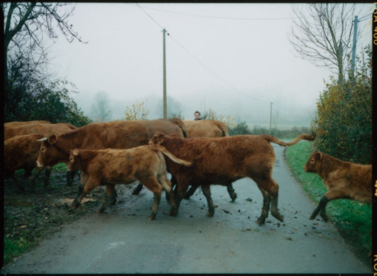 laterreamoureuse_hd_71_retouche_b