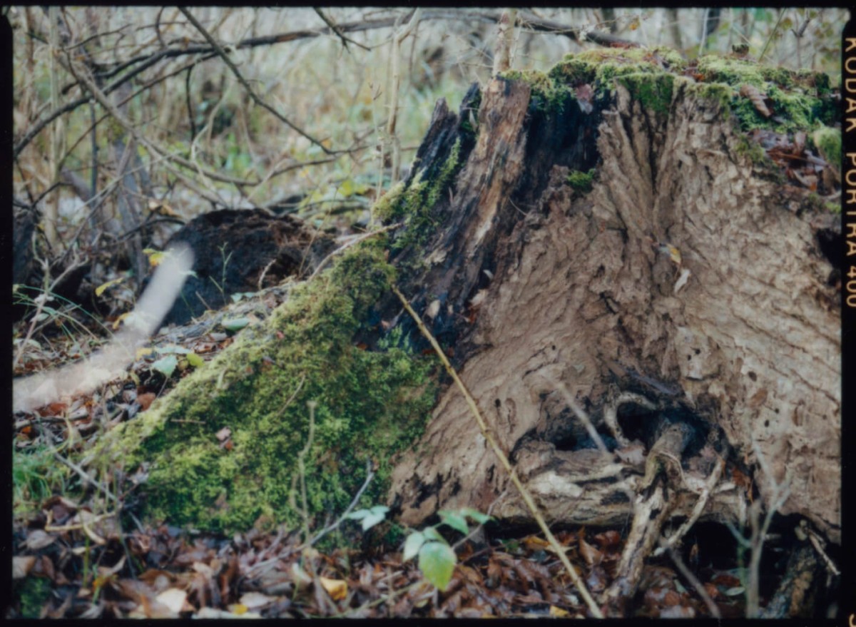 laterreamoureuse_hd_726