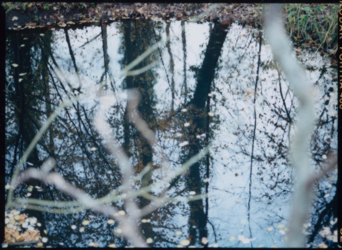 laterreamoureuse_hd_88_retouche_b