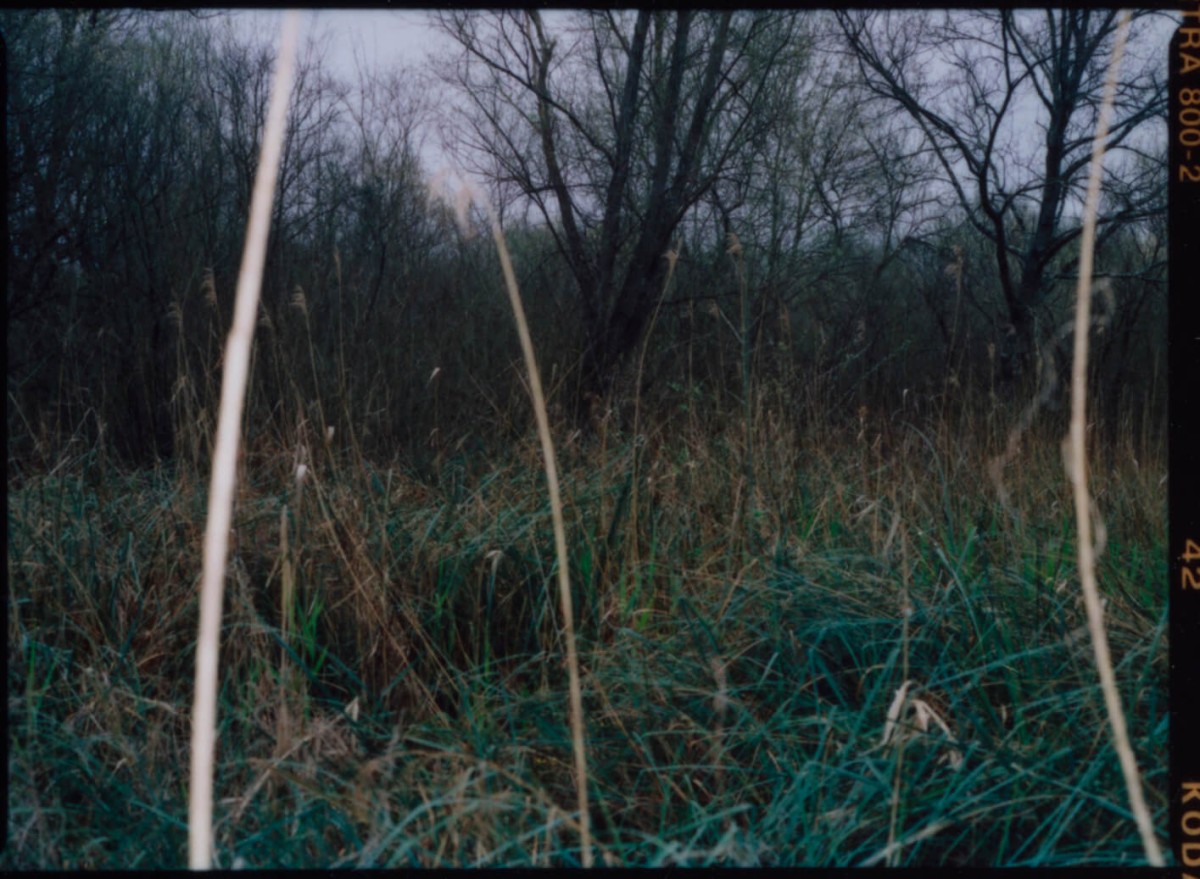 laterreamoureuse_hd_159_b