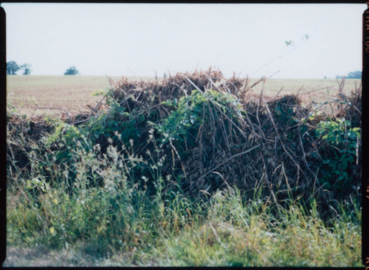 laterreamoureuse_hd_120