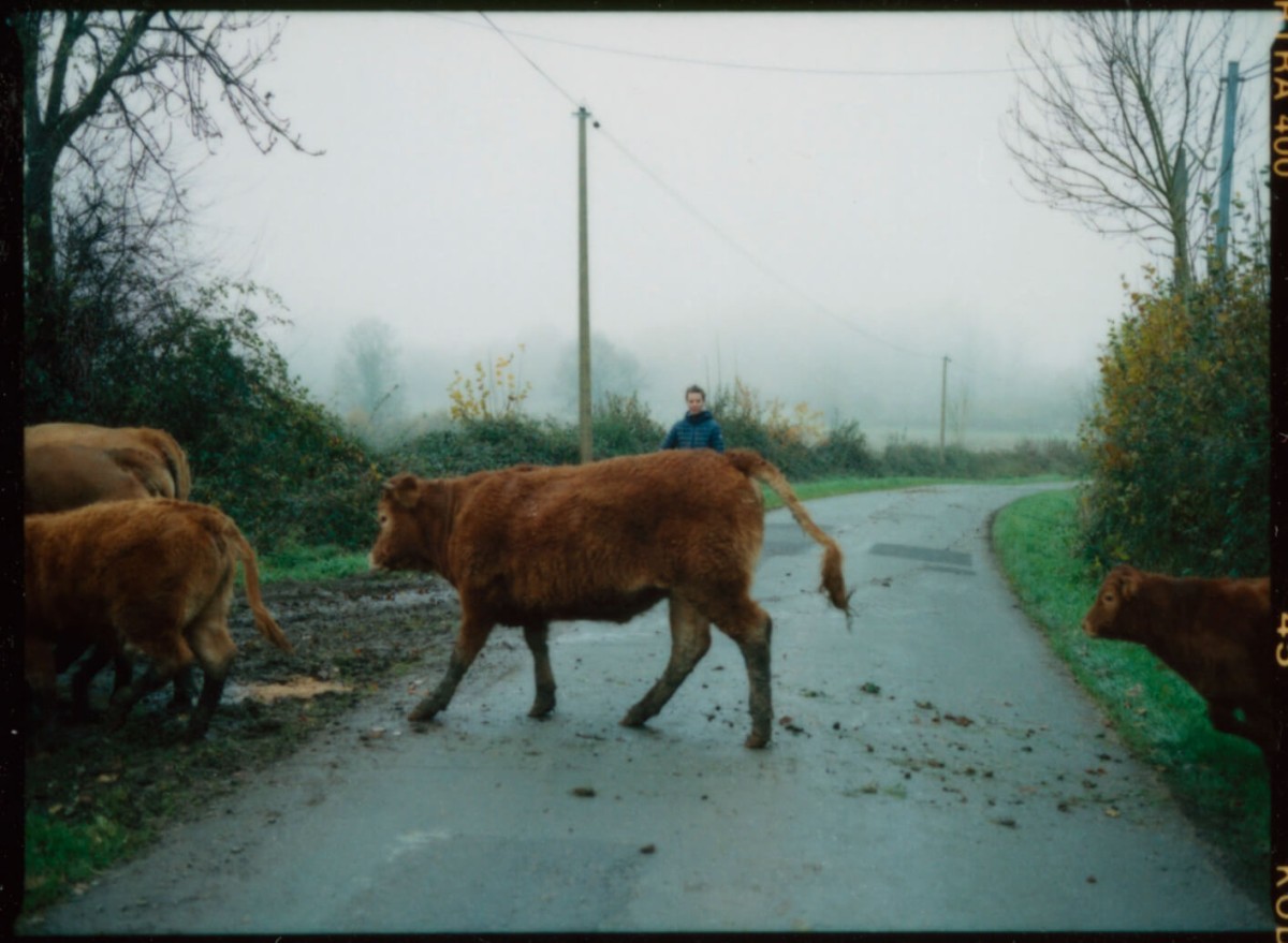 laterreamoureuse_hd_65_retouche_b