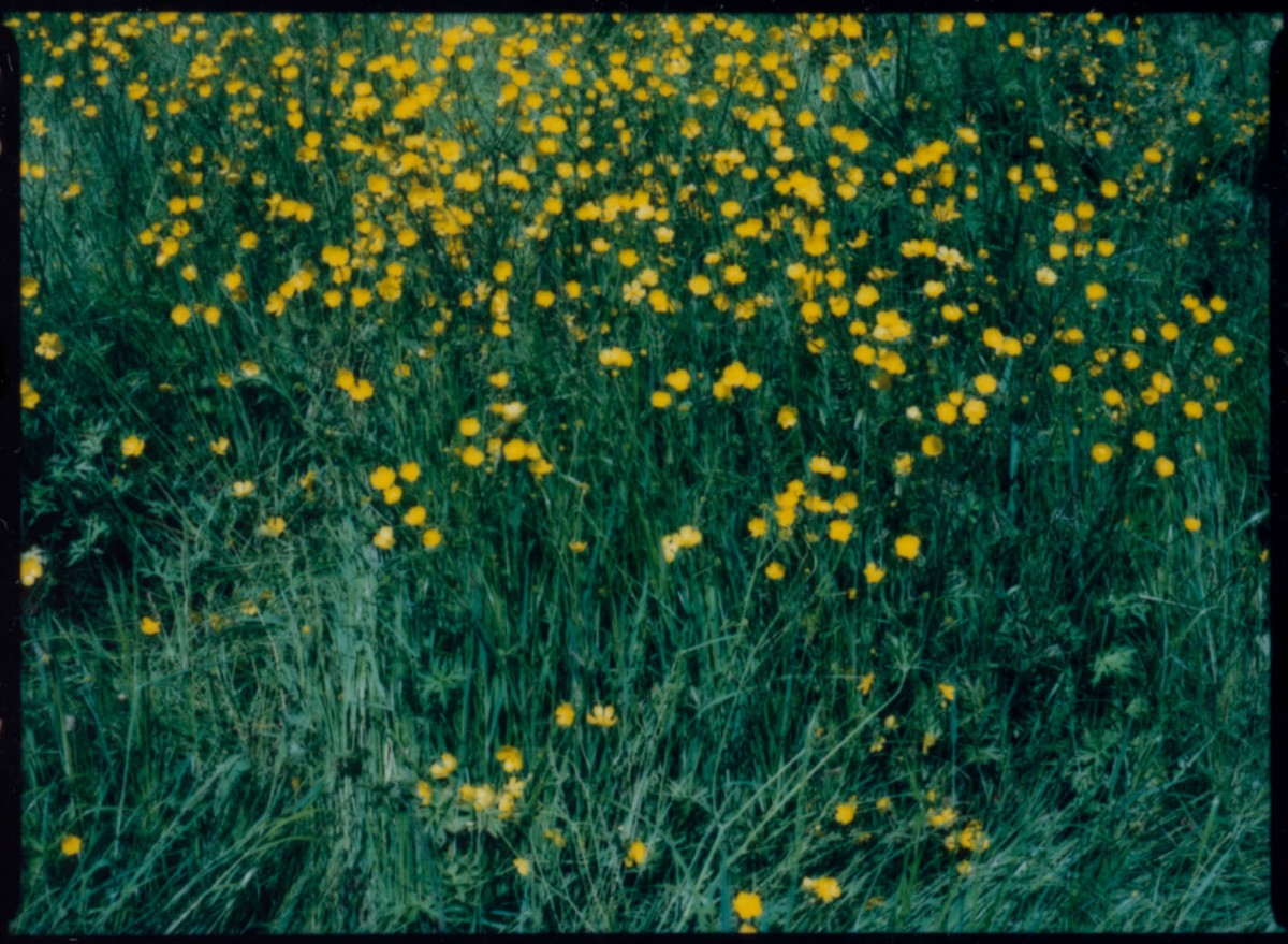 laterreamoureuse_hd_415_b