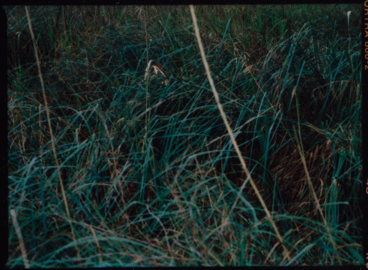 laterreamoureuse_hd_160_b