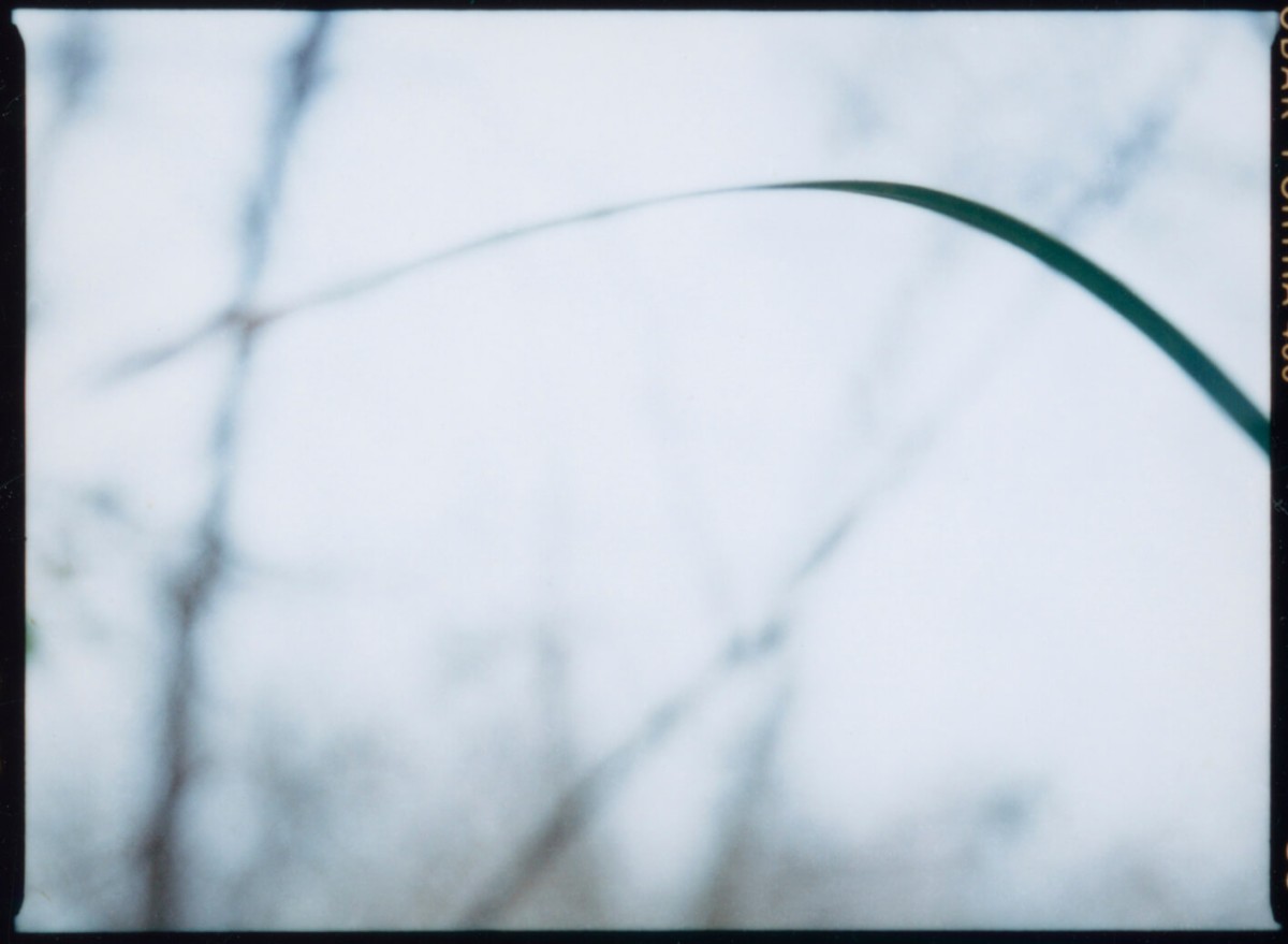 laterreamoureuse_hd_587_b