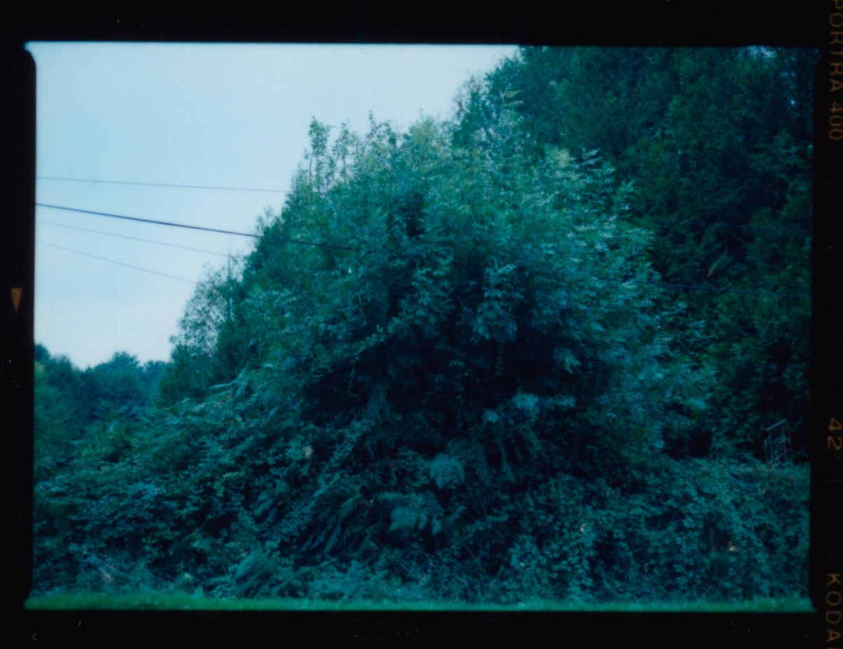 laterreamoureuse_hd_792