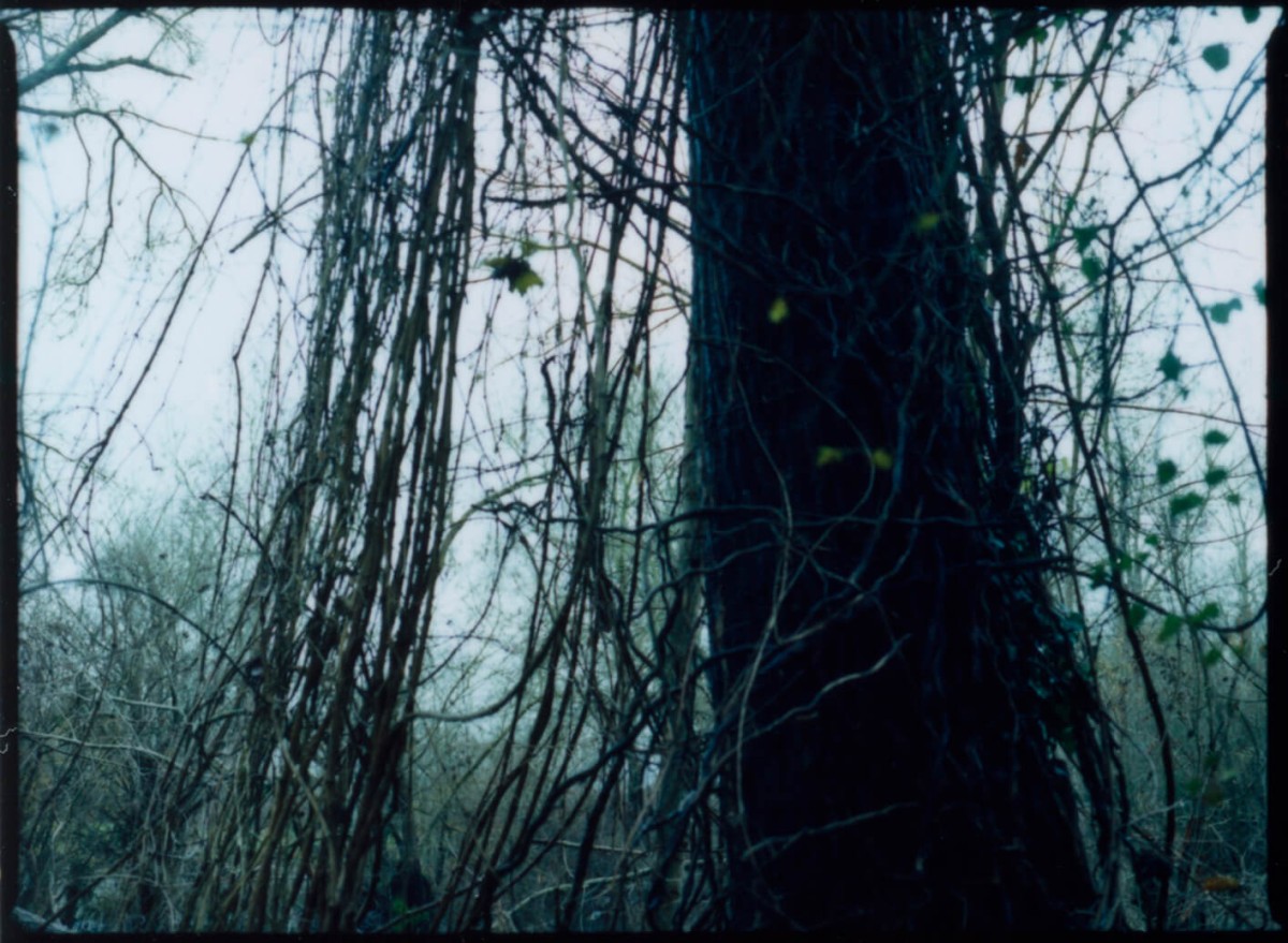 laterreamoureuse_hd_475